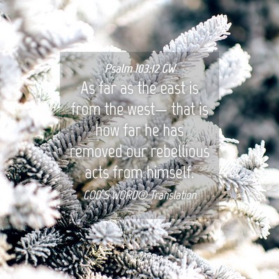 Picture 04 - Psalm 103:12 GW - As far as the east is from the west— that is - Bible Verse Picture