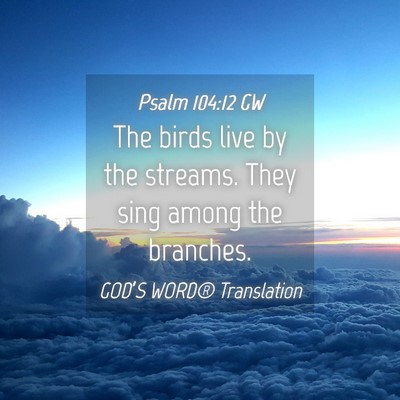 Picture 04 - Psalm 104:12 GW - The birds live by the streams. They sing among - Bible Verse Picture