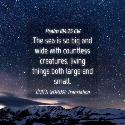 Picture 04 - Psalm 104:25 GW - The sea is so big and wide with countless - Bible Verse Picture