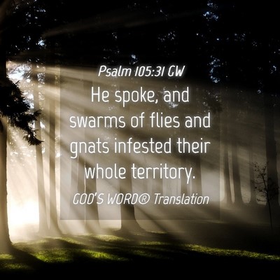 Picture 04 - Psalm 105:31 GW - He spoke, and swarms of flies and gnats infested - Bible Verse Picture
