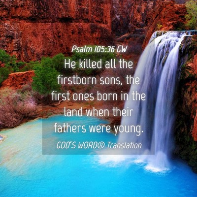 Picture 04 - Psalm 105:36 GW - He killed all the firstborn sons, the first ones - Bible Verse Picture