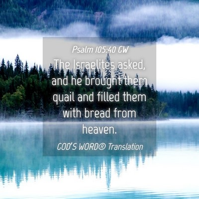 Picture 04 - Psalm 105:40 GW - The Israelites asked, and he brought them quail - Bible Verse Picture