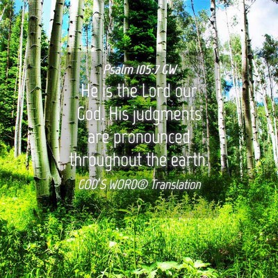 Picture 04 - Psalm 105:7 GW - He is the Lord our God. His judgments are - Bible Verse Picture