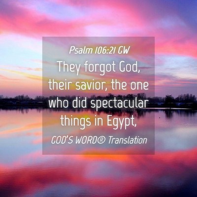 Picture 04 - Psalm 106:21 GW - They forgot God, their savior, the one who did - Bible Verse Picture