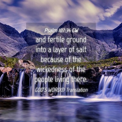 Picture 04 - Psalm 107:34 GW - and fertile ground into a layer of salt because - Bible Verse Picture