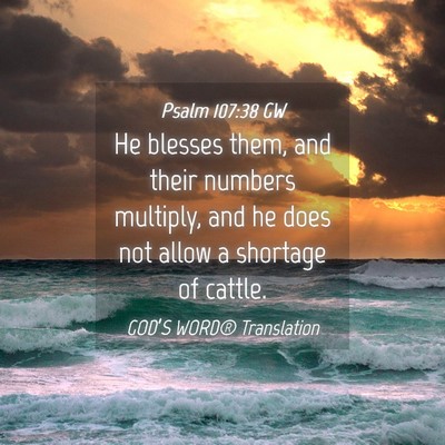 Picture 04 - Psalm 107:38 GW - He blesses them, and their numbers multiply, and - Bible Verse Picture