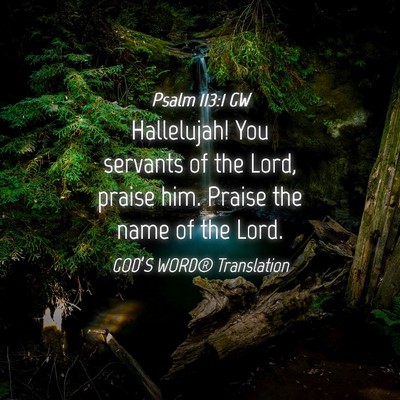Picture 04 - Psalm 113:1 GW - Hallelujah! You servants of the Lord, praise him. - Bible Verse Picture