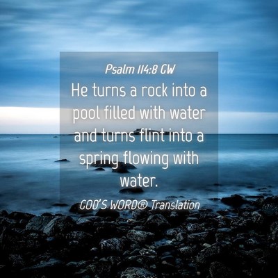 Picture 04 - Psalm 114:8 GW - He turns a rock into a pool filled with water and - Bible Verse Picture