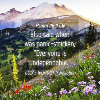 Picture 04 - Psalm 116:11 GW - I also said when I was panic-stricken, - Bible Verse Picture
