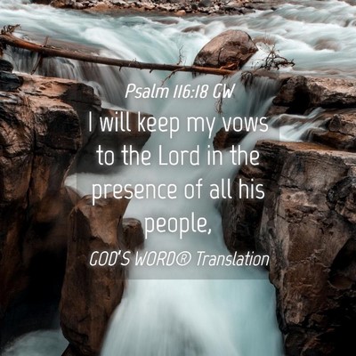Picture 04 - Psalm 116:18 GW - I will keep my vows to the Lord in the presence - Bible Verse Picture