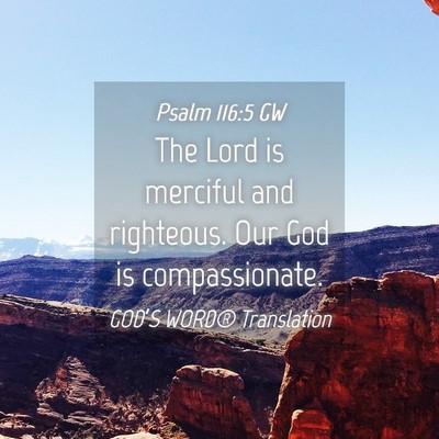 Picture 04 - Psalm 116:5 GW - The Lord is merciful and righteous. Our God is - Bible Verse Picture