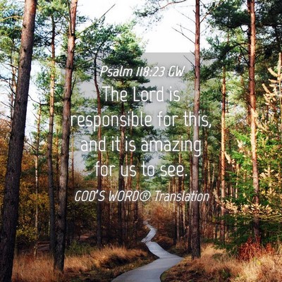Picture 04 - Psalm 118:23 GW - The Lord is responsible for this, and it is - Bible Verse Picture