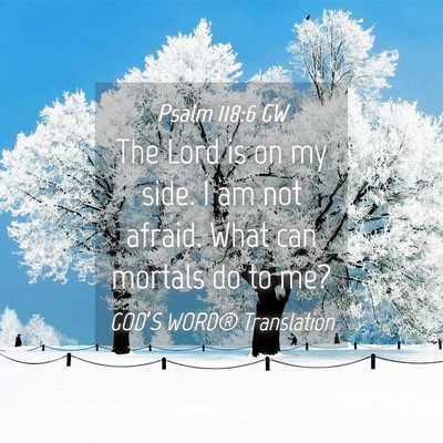 Picture 04 - Psalm 118:6 GW - The Lord is on my side. I am not afraid. What can - Bible Verse Picture