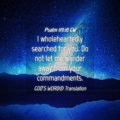 Picture 04 - Psalm 119:10 GW - I wholeheartedly searched for you. Do not let me - Bible Verse Picture