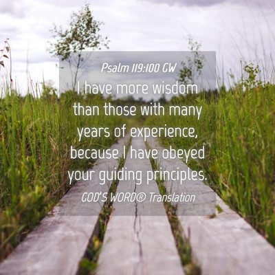 Picture 04 - Psalm 119:100 GW - I have more wisdom than those with many years of - Bible Verse Picture