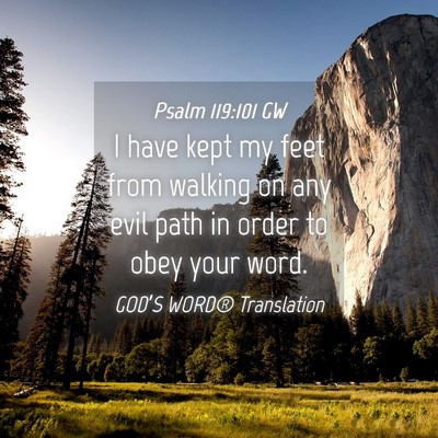 Picture 04 - Psalm 119:101 GW - I have kept my feet from walking on any evil path - Bible Verse Picture