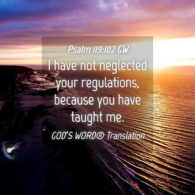 Picture 04 - Psalm 119:102 GW - I have not neglected your regulations, because - Bible Verse Picture