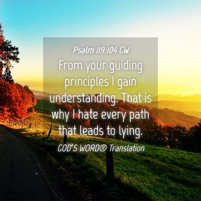 Picture 04 - Psalm 119:104 GW - From your guiding principles I gain - Bible Verse Picture