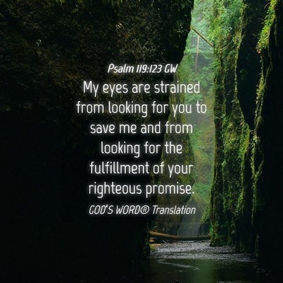 Picture 04 - Psalm 119:123 GW - My eyes are strained from looking for you to save - Bible Verse Picture