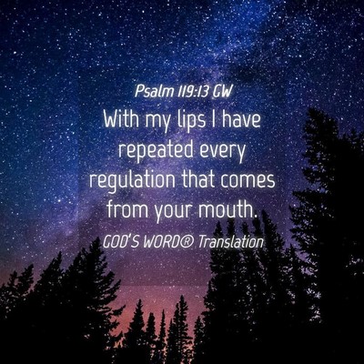 Picture 04 - Psalm 119:13 GW - With my lips I have repeated every regulation - Bible Verse Picture