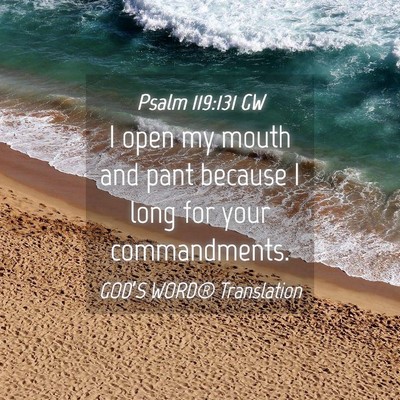 Picture 04 - Psalm 119:131 GW - I open my mouth and pant because I long for your - Bible Verse Picture