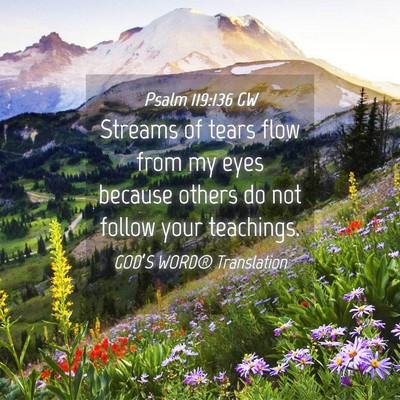 Picture 04 - Psalm 119:136 GW - Streams of tears flow from my eyes because others - Bible Verse Picture