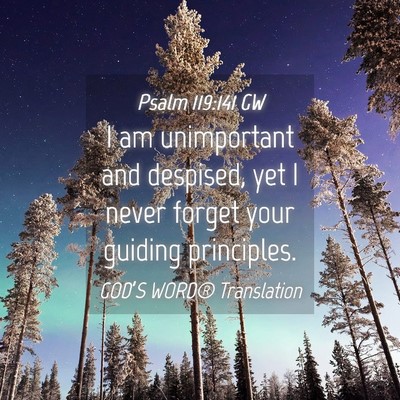 Picture 04 - Psalm 119:141 GW - I am unimportant and despised, yet I never forget - Bible Verse Picture
