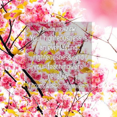 Picture 04 - Psalm 119:142 GW - Your righteousness is an everlasting - Bible Verse Picture