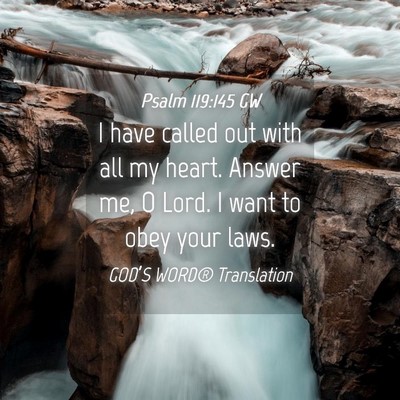 Picture 04 - Psalm 119:145 GW - I have called out with all my heart. Answer me, O - Bible Verse Picture