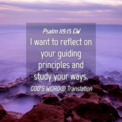 Picture 04 - Psalm 119:15 GW - I want to reflect on your guiding principles and - Bible Verse Picture