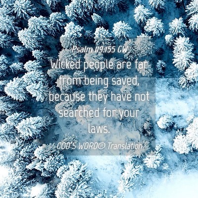 Picture 04 - Psalm 119:155 GW - Wicked people are far from being saved, because - Bible Verse Picture
