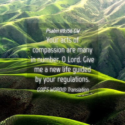 Picture 04 - Psalm 119:156 GW - Your acts of compassion are many in number, O - Bible Verse Picture