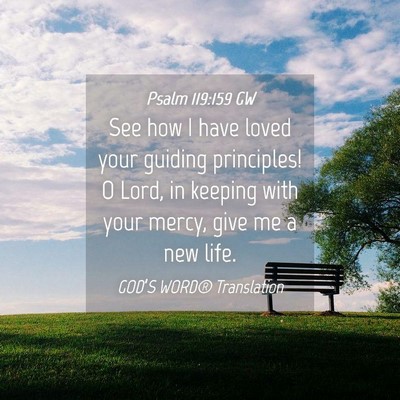 Picture 04 - Psalm 119:159 GW - See how I have loved your guiding principles! O - Bible Verse Picture