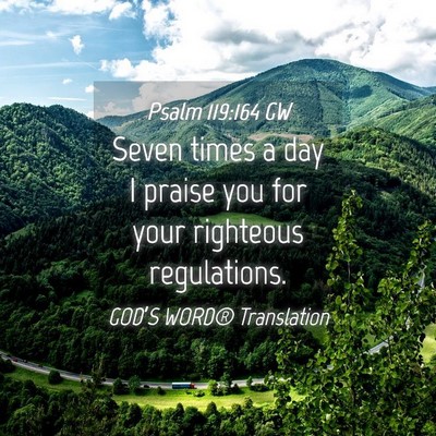 Picture 04 - Psalm 119:164 GW - Seven times a day I praise you for your righteous - Bible Verse Picture
