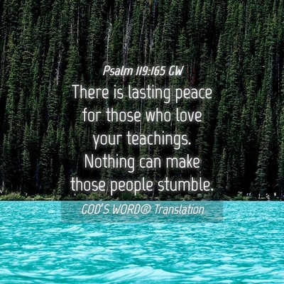 Picture 04 - Psalm 119:165 GW - There is lasting peace for those who love your - Bible Verse Picture