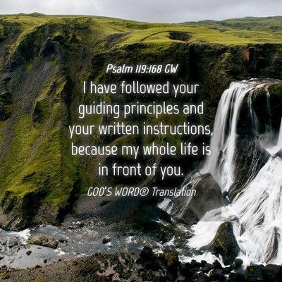 Picture 04 - Psalm 119:168 GW - I have followed your guiding principles and your - Bible Verse Picture