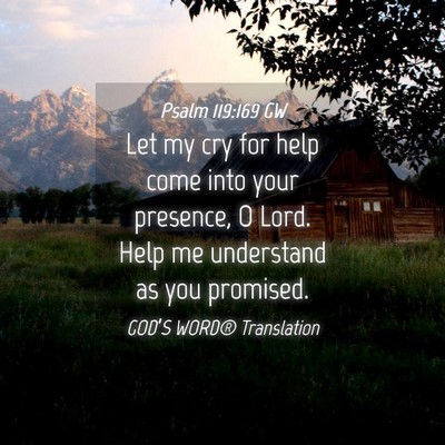 Picture 04 - Psalm 119:169 GW - Let my cry for help come into your presence, O - Bible Verse Picture