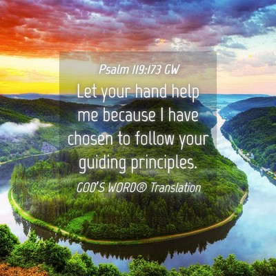 Picture 04 - Psalm 119:173 GW - Let your hand help me because I have chosen to - Bible Verse Picture