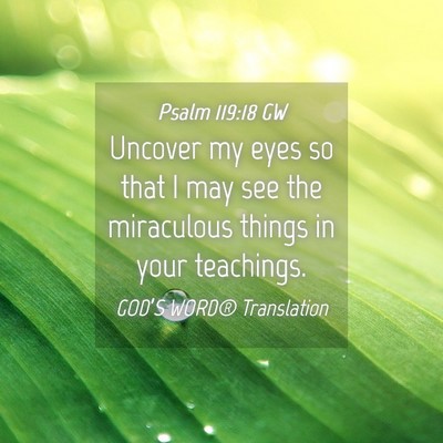 Picture 04 - Psalm 119:18 GW - Uncover my eyes so that I may see the miraculous - Bible Verse Picture