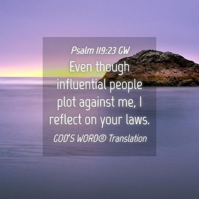 Picture 04 - Psalm 119:23 GW - Even though influential people plot against me, I - Bible Verse Picture