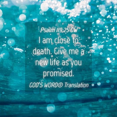 Picture 04 - Psalm 119:25 GW - I am close to death. Give me a new life as you - Bible Verse Picture