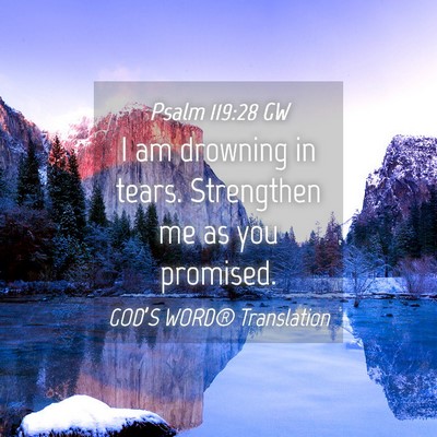 Picture 04 - Psalm 119:28 GW - I am drowning in tears. Strengthen me as you - Bible Verse Picture