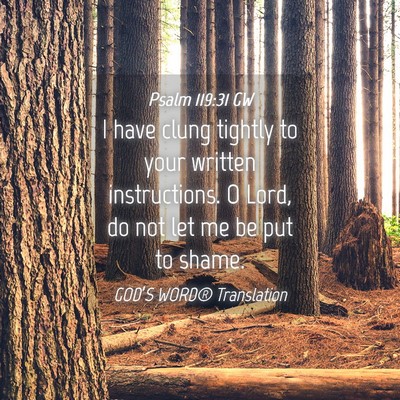 Picture 04 - Psalm 119:31 GW - I have clung tightly to your written - Bible Verse Picture