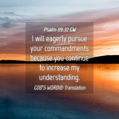 Picture 04 - Psalm 119:32 GW - I will eagerly pursue your commandments because - Bible Verse Picture
