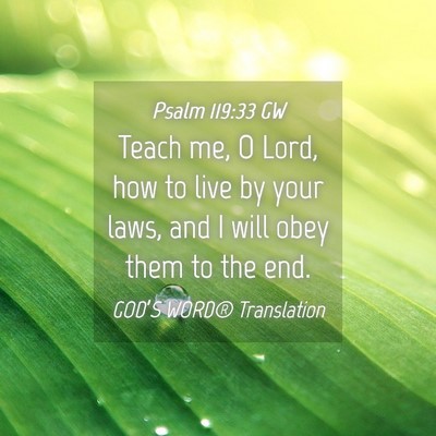 Picture 04 - Psalm 119:33 GW - Teach me, O Lord, how to live by your laws, and I - Bible Verse Picture
