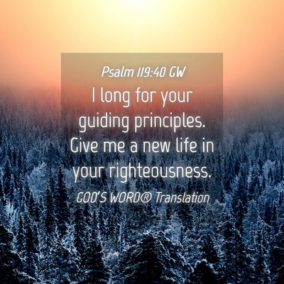 Picture 04 - Psalm 119:40 GW - I long for your guiding principles. Give me a new - Bible Verse Picture