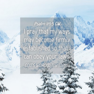 Picture 04 - Psalm 119:5 GW - I pray that my ways may become firmly established - Bible Verse Picture