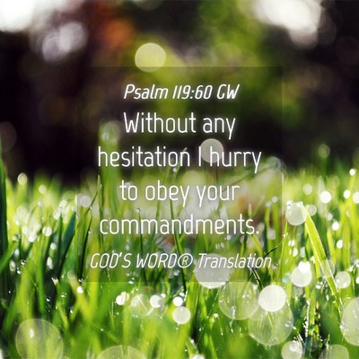 Picture 04 - Psalm 119:60 GW - Without any hesitation I hurry to obey your - Bible Verse Picture