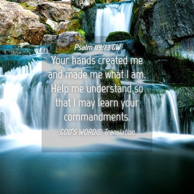 Picture 04 - Psalm 119:73 GW - Your hands created me and made me what I am. Help - Bible Verse Picture