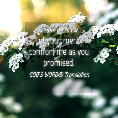 Picture 04 - Psalm 119:76 GW - Let your mercy comfort me as you - Bible Verse Picture